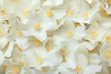 Photo of Closeup of beautiful white jasmine flowers, top view