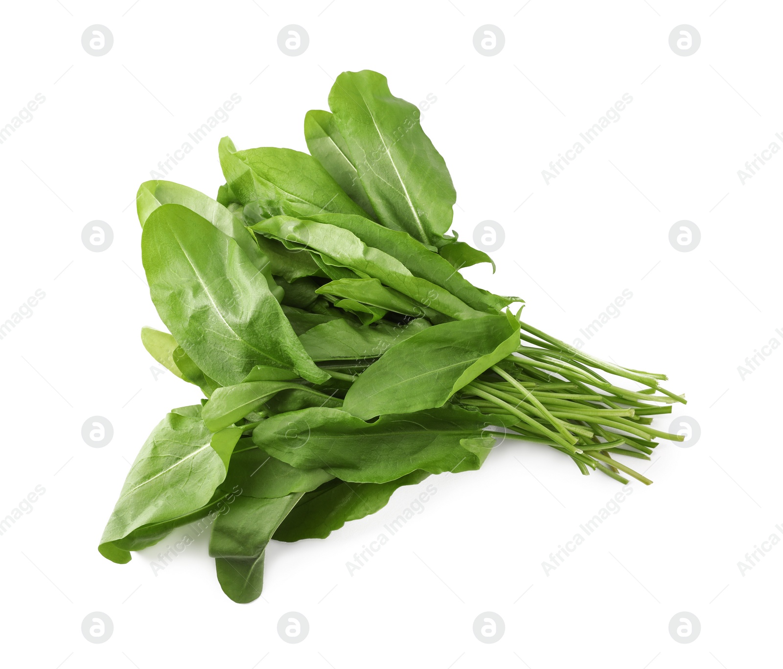 Photo of Bunch of fresh green sorrel leaves on white background, above view