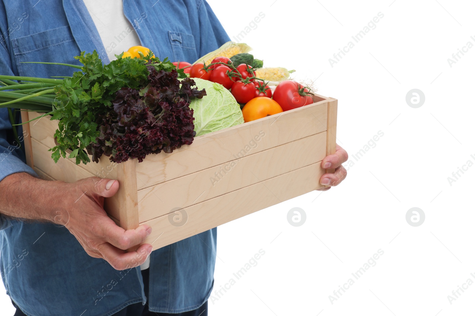 Photo of Harvesting season. Farmer holding wooden crate with vegetables on white background, closeup