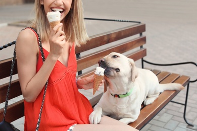 Owner treating her yellow labrador retriever with ice-cream outdoors