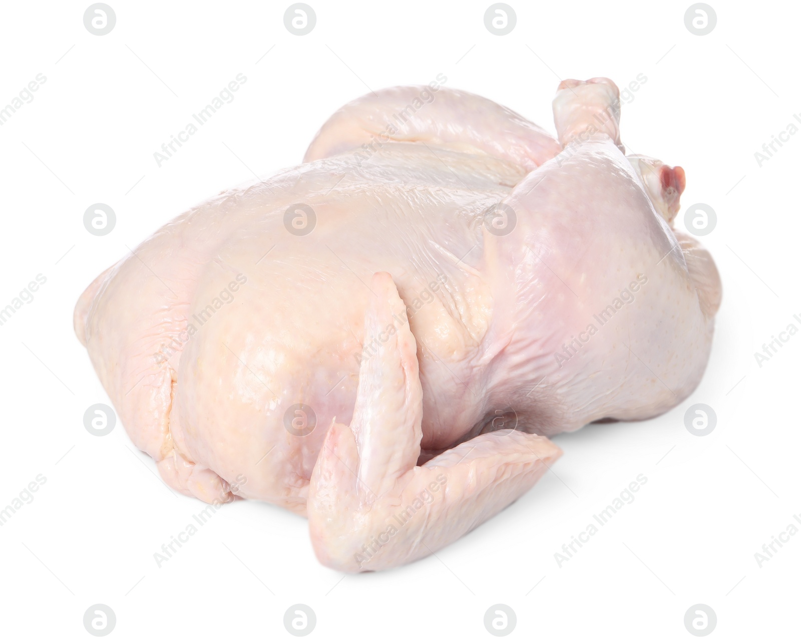 Photo of One fresh raw chicken isolated on white