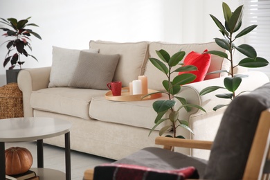 Burning candles and cup of drink on sofa indoors. Cozy living room interior inspired by autumn colors