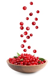 Fresh red cranberries falling in bowl on white background