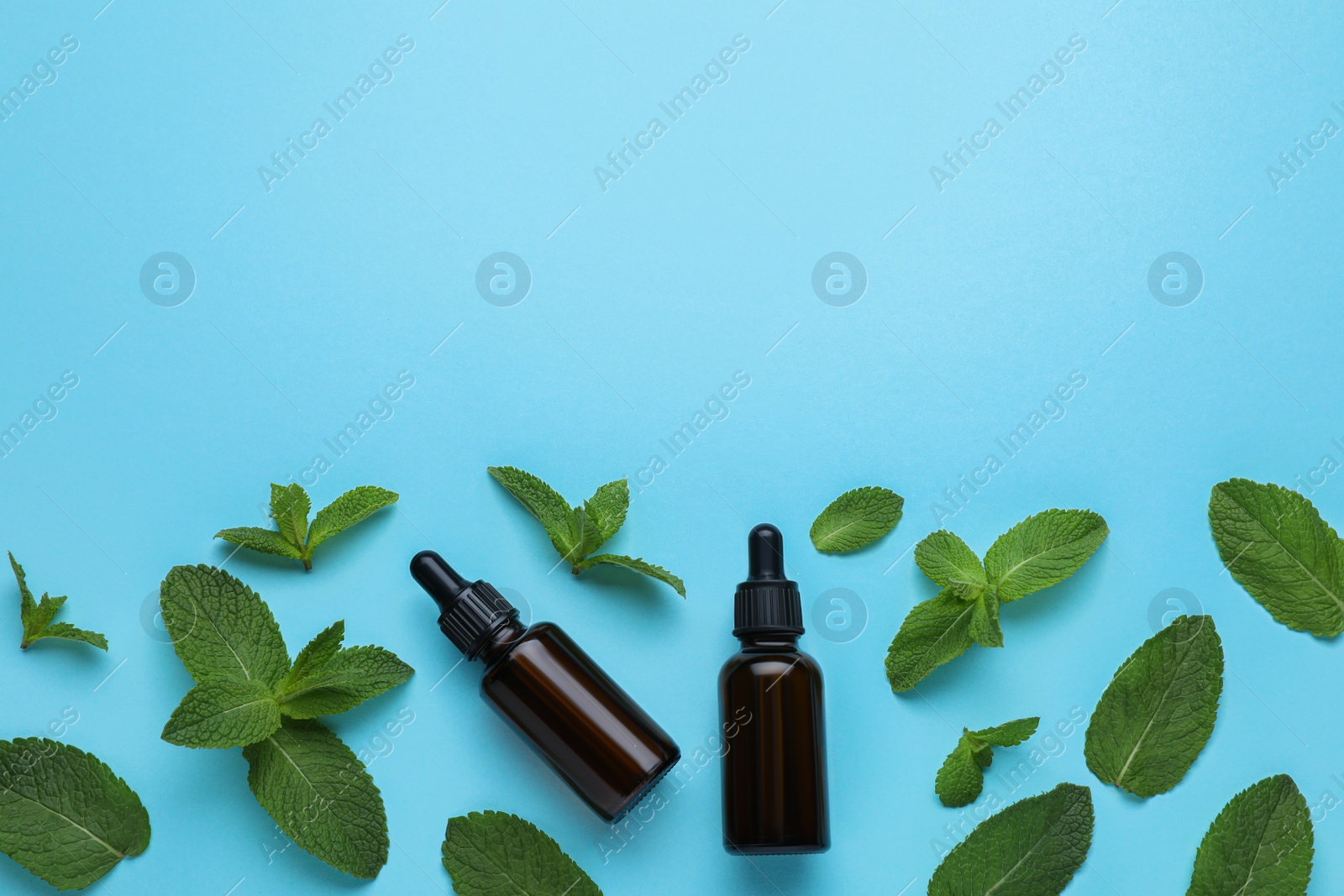 Photo of Bottles of essential oil and mint on light blue background, flat lay. Space for text