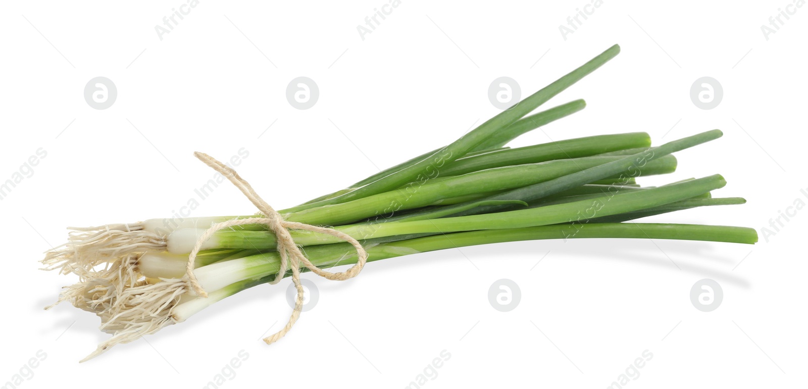 Photo of Tied bunch of fresh green spring onions on white background