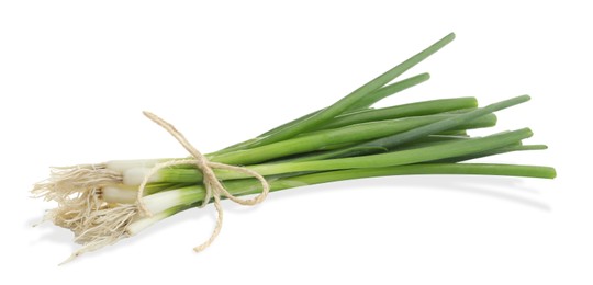 Tied bunch of fresh green spring onions on white background
