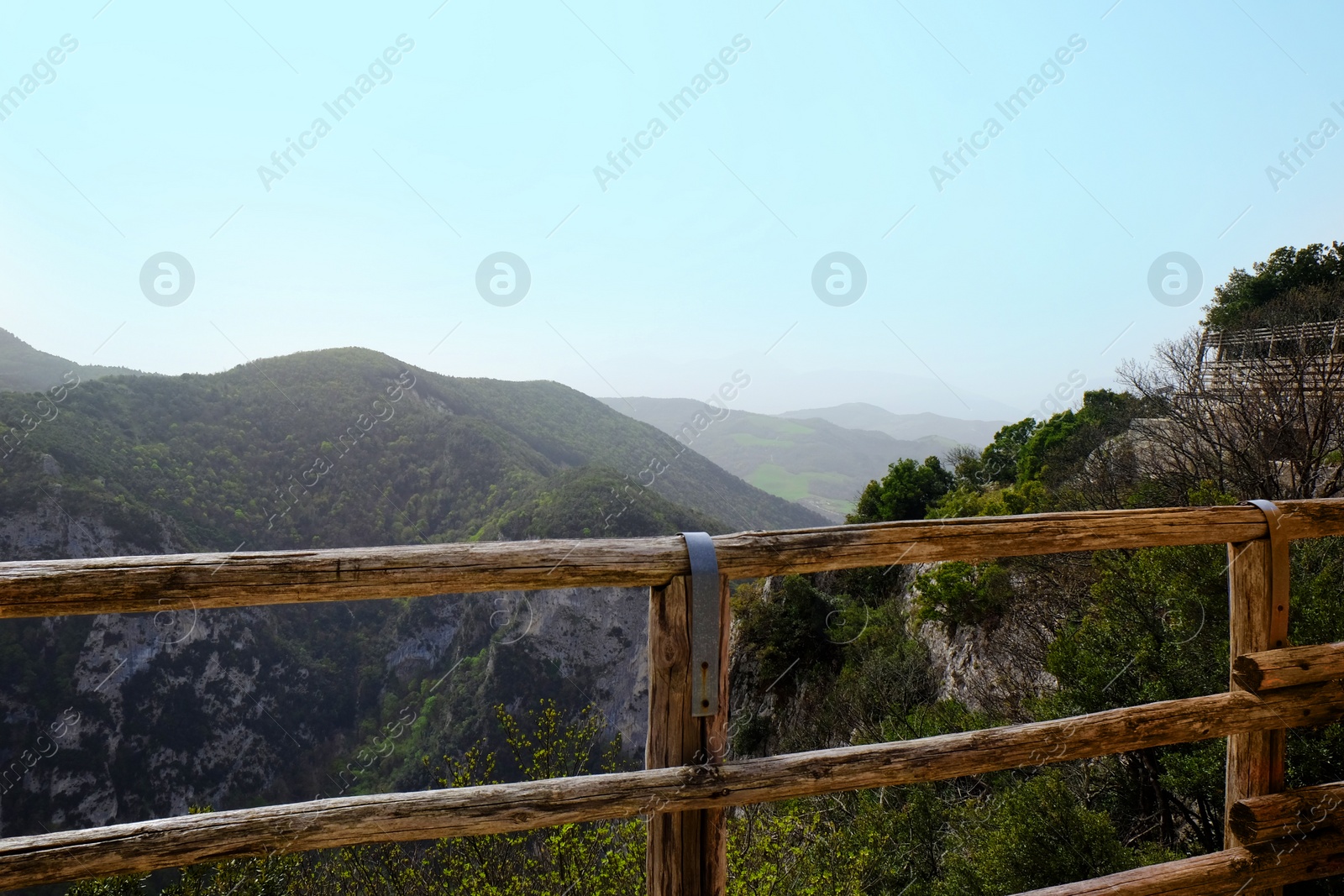 Photo of Picturesque view of green forest in mountains