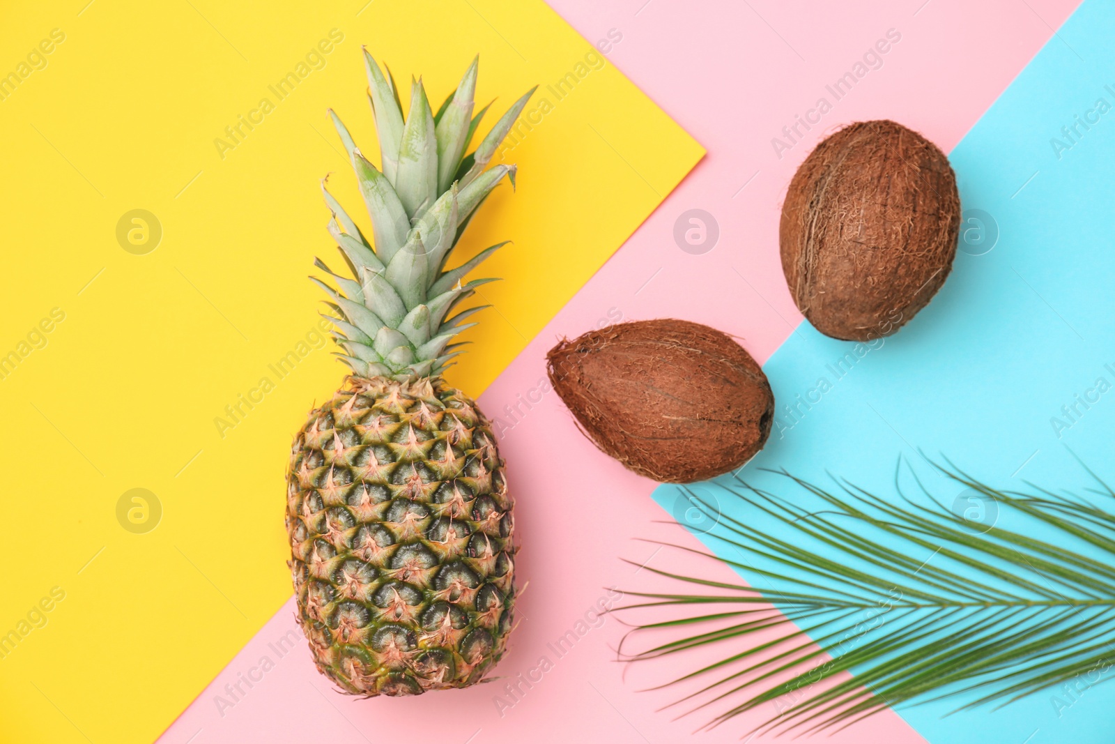 Photo of Fresh pineapple and coconuts on color background, flat lay