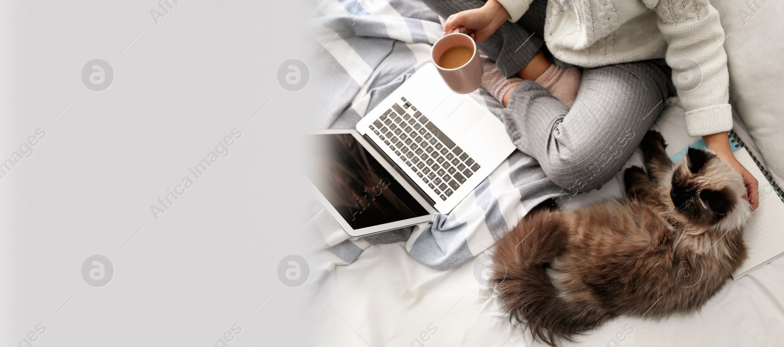 Image of Woman with her cute pet on bed at home, space for text. Banner design