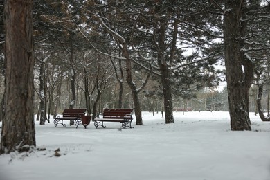 Photo of Picturesque view of beautiful snowy park on winter day