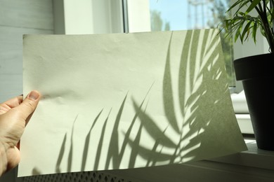 Photo of Woman holding paper sheet with shadow of houseplant near window indoors, closeup