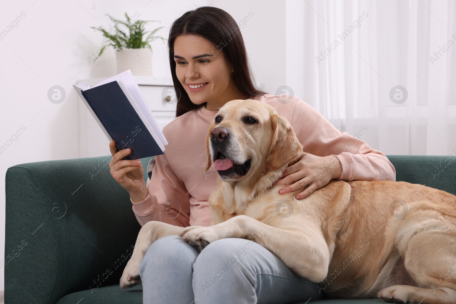 Photo of Happy woman reading book while sitting with cute Labrador Retriever on sofa at home