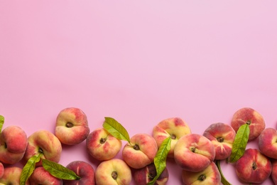 Photo of Fresh donut peaches with leaves on light pink background, flat lay. Space for text