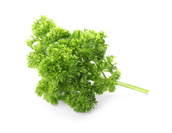 Photo of Fresh green curly parsley on white background