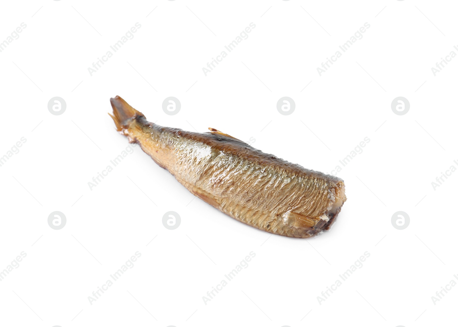 Photo of One tasty smoked sprat isolated on white