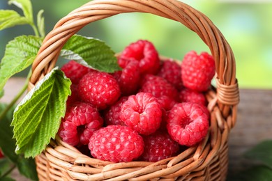 Tasty ripe raspberries and green leaves in wicker basket, closeup