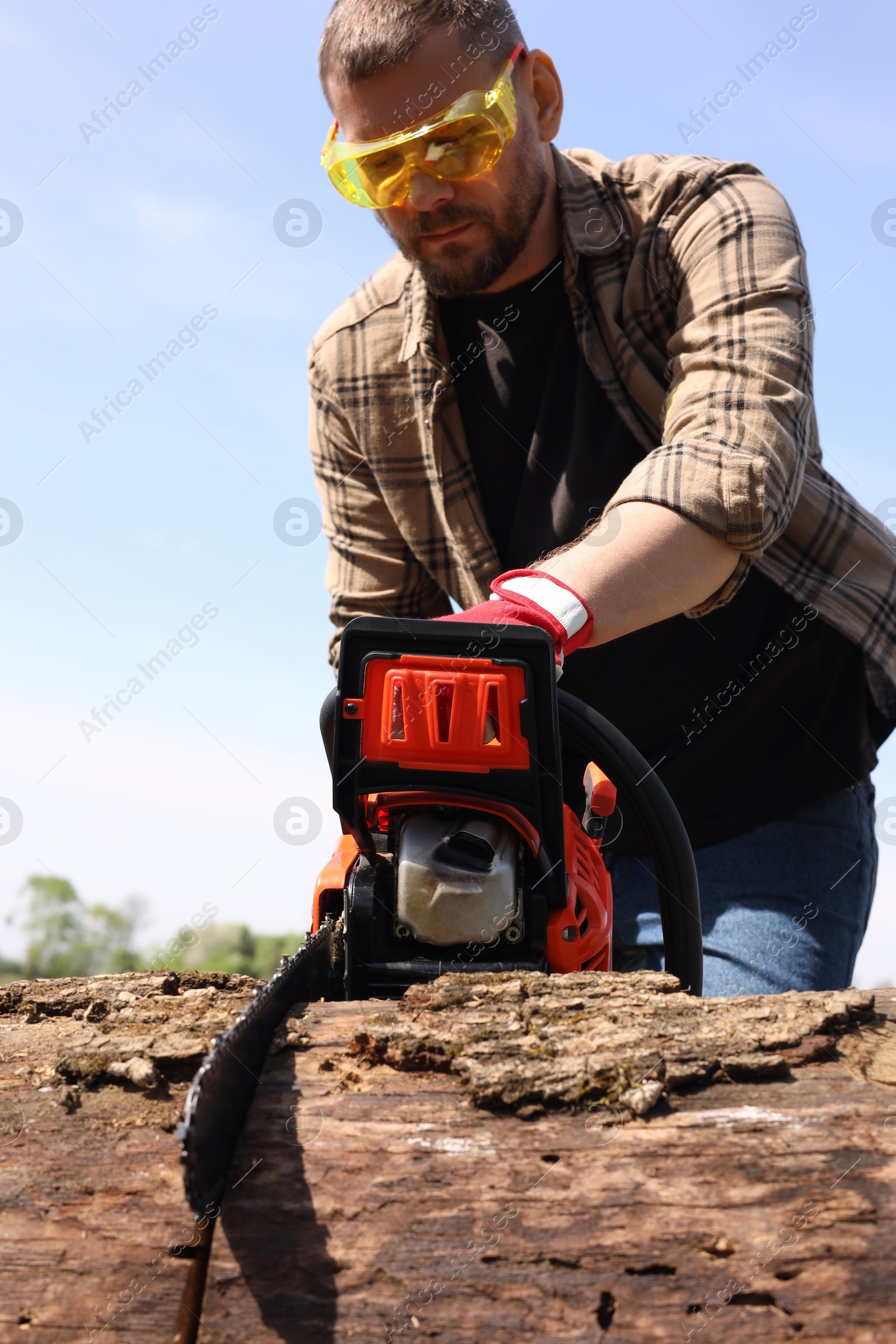 Photo of Man sawing wooden log on sunny day, low angle view