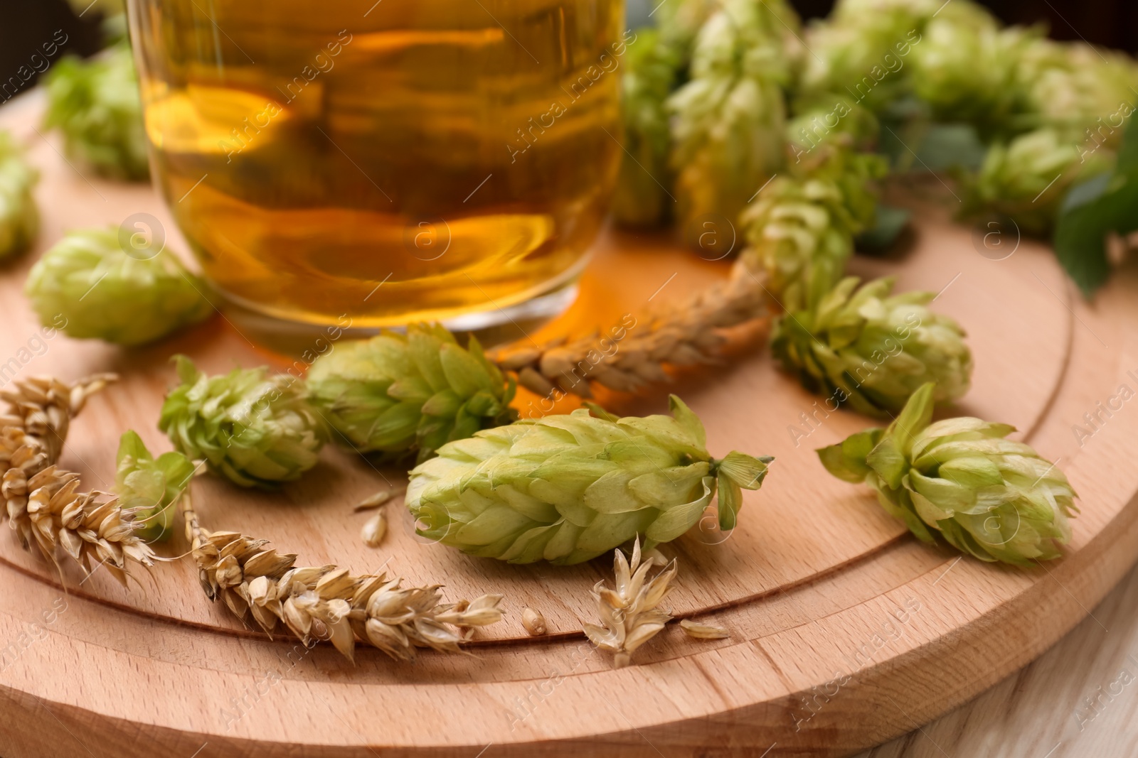 Photo of Beer, fresh hops and ears of wheat on wooden table, closeup