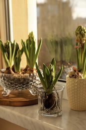 Beautiful bulbous plants on windowsill indoors. Spring time