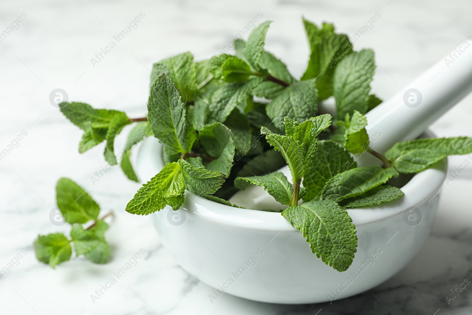 Photo of Mortar with fresh green mint and pestle on table, closeup