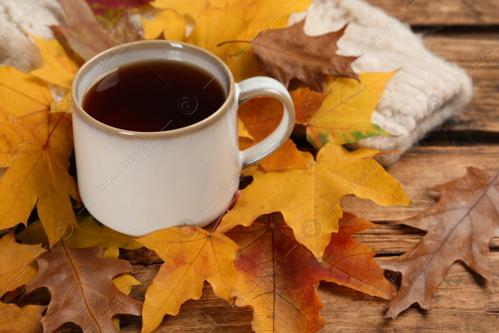 Photo of Cup of hot tea and autumn leaves on wooden table, space for text