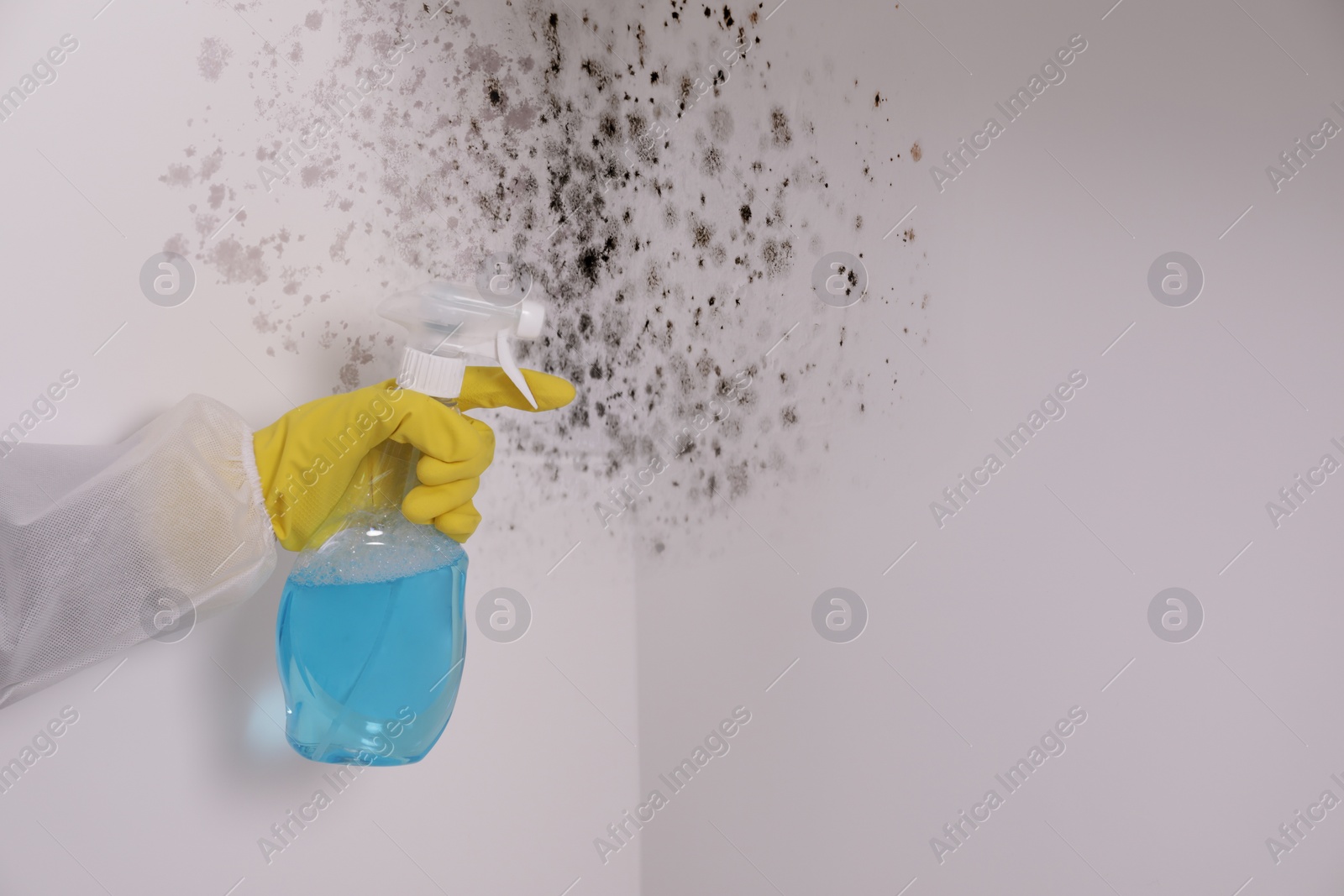 Image of Woman in protective suit and rubber gloves using mold remover on wall, closeup