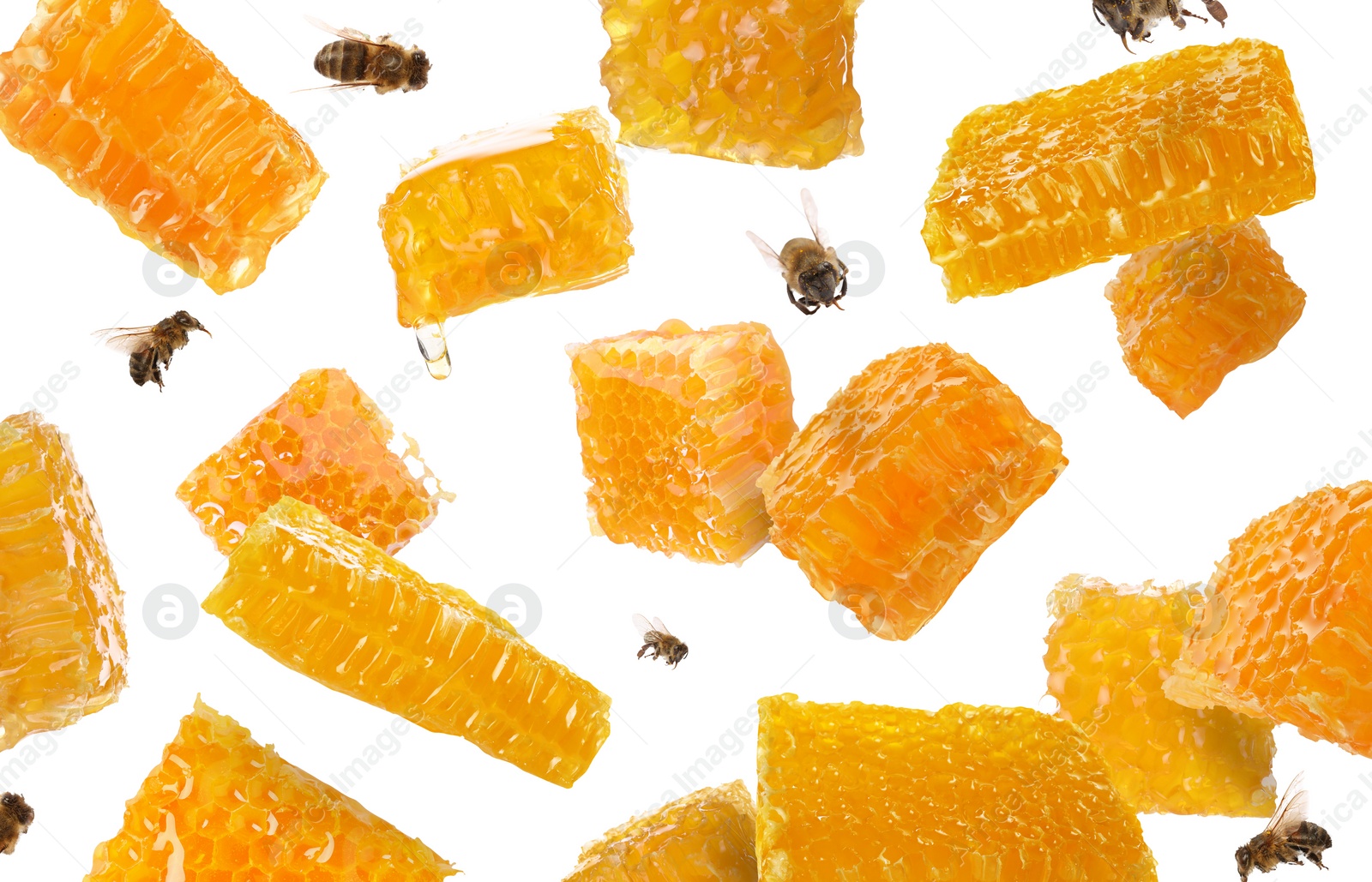 Image of Pieces of honeycomb in air and bees flying on white background