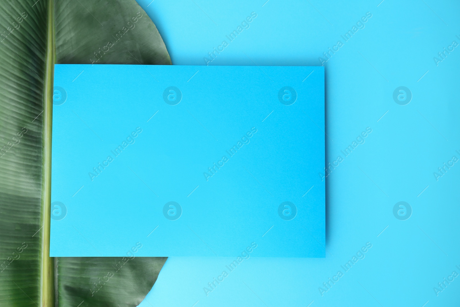 Photo of Flat lay composition with green banana leaf and space for text on color background. Tropical foliage