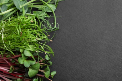 Photo of Different microgreens on black table, flat lay. Space for text