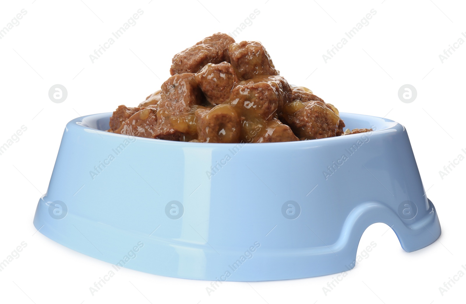 Photo of Wet pet food in feeding bowl isolated on white