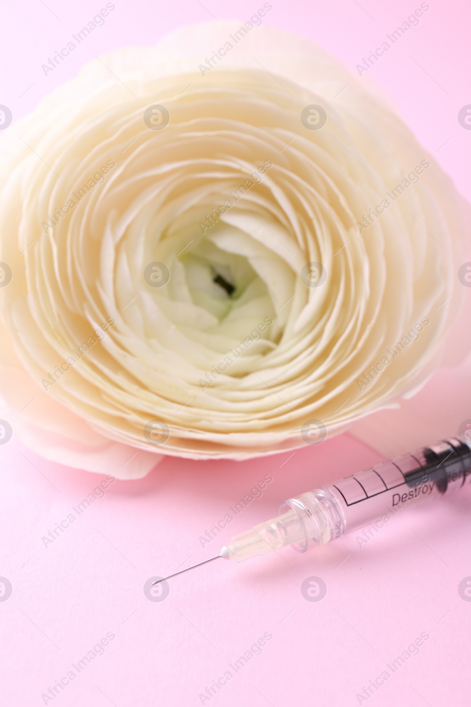 Photo of Cosmetology. Medical syringe and ranunculus flower on pink background, closeup