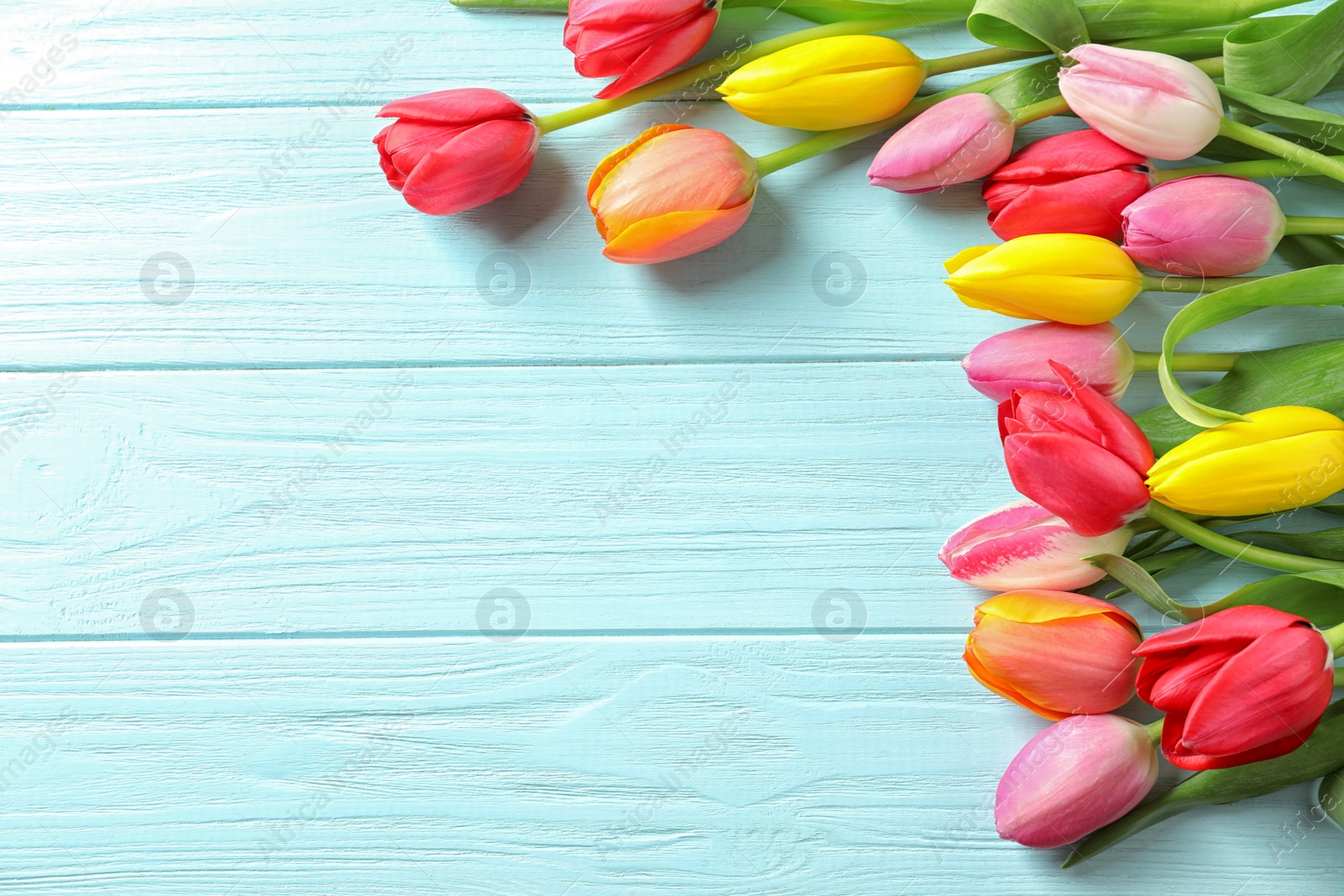 Photo of Beautiful tulips and space for text on wooden background, top view. Spring flowers