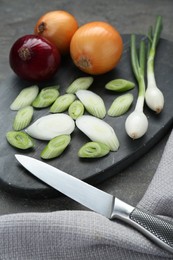 Photo of Board with different kinds and knife of onions on grey table, closeup