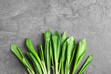 Fresh wild garlic or ramson on grey table, top view with space for text