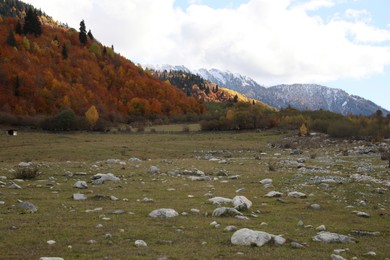 Photo of Picturesque view of mountain landscape with forest and meadow on autumn day