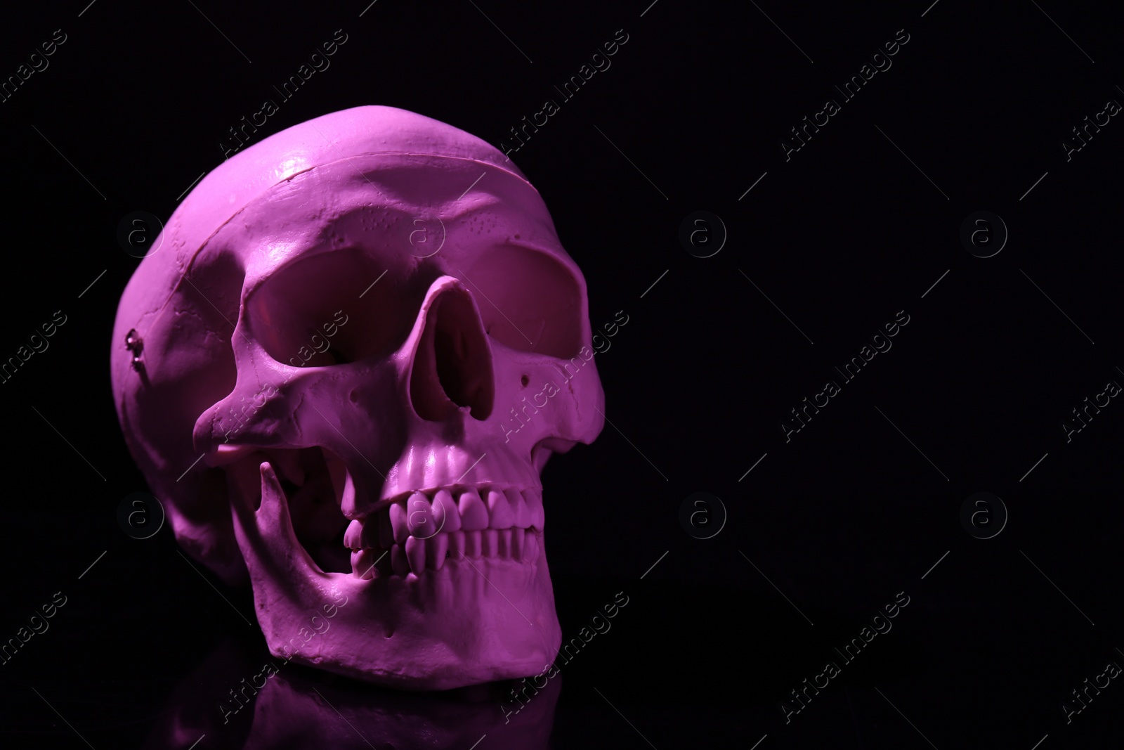 Photo of White human skull on black background, space for text