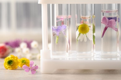 Photo of Test tubes with different flowers on white wooden table, closeup. Essential oil extraction