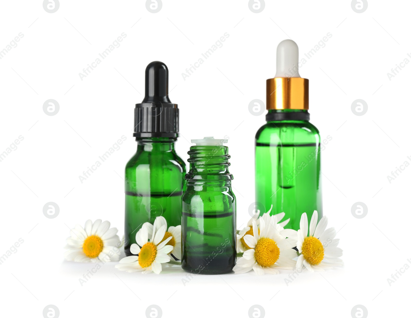 Photo of Bottles of herbal essential oil and chamomile flowers isolated on white