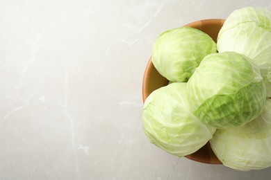 Photo of Ripe white cabbage on light marble table, top view. Space for text
