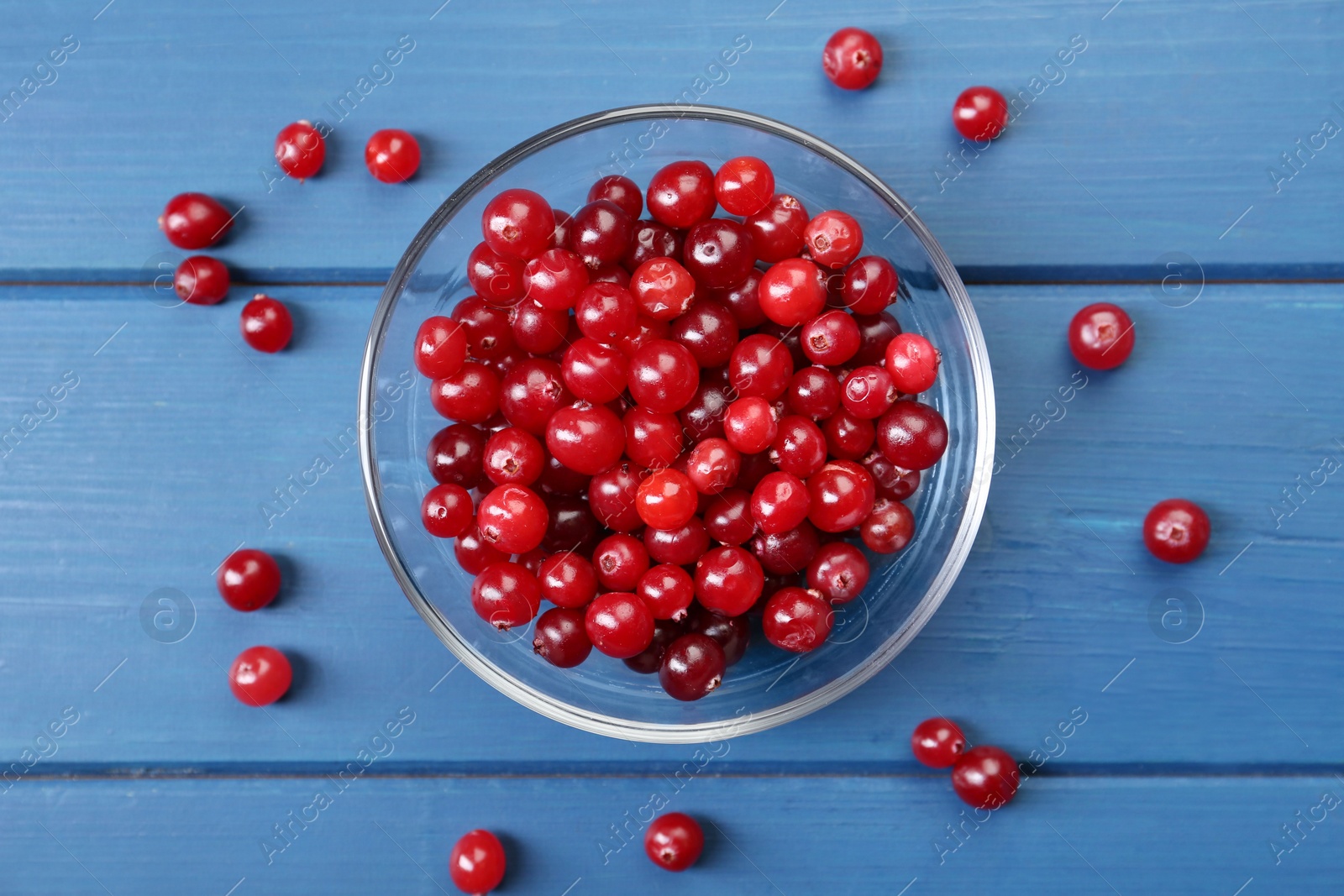 Photo of Fresh ripe cranberries in glass bowl on blue wooden table, top view