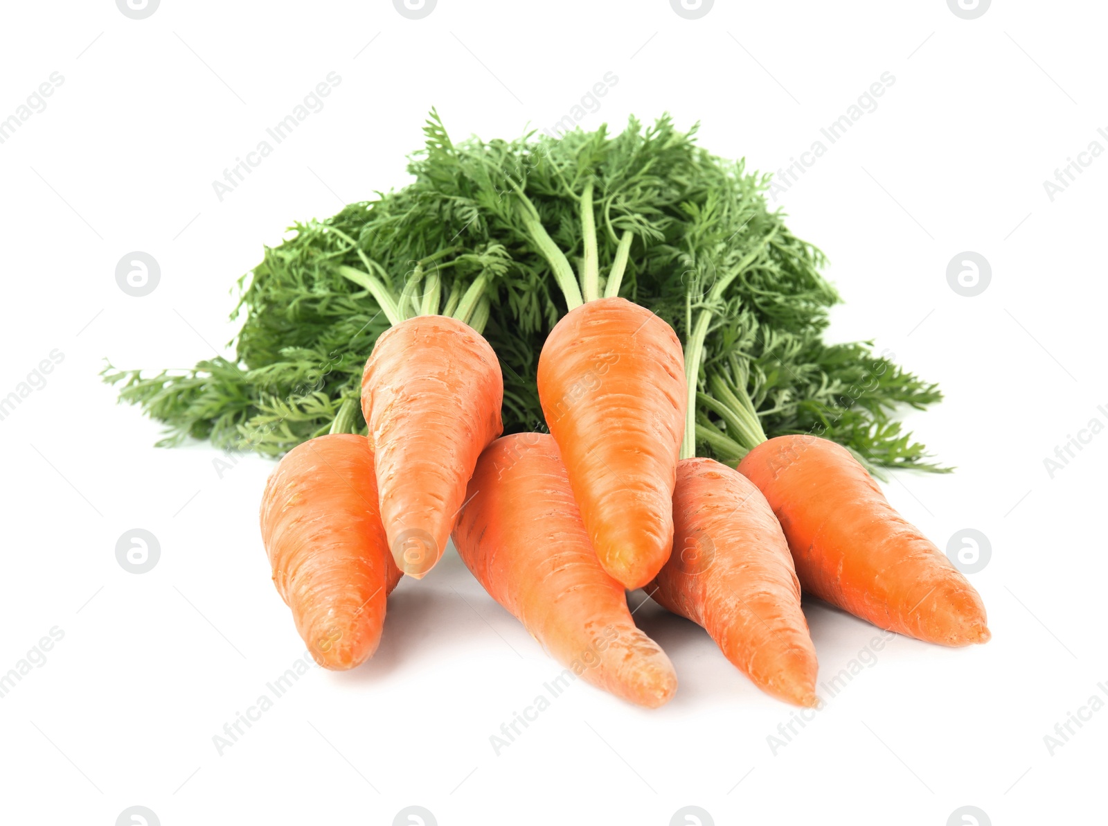 Photo of Bunch of fresh ripe carrots isolated on white