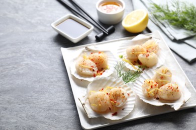 Photo of Raw scallops with spices, lemon zest and shells on grey marble table. Space for text