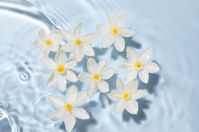 Photo of Beautiful daffodils in water on light blue background, top view