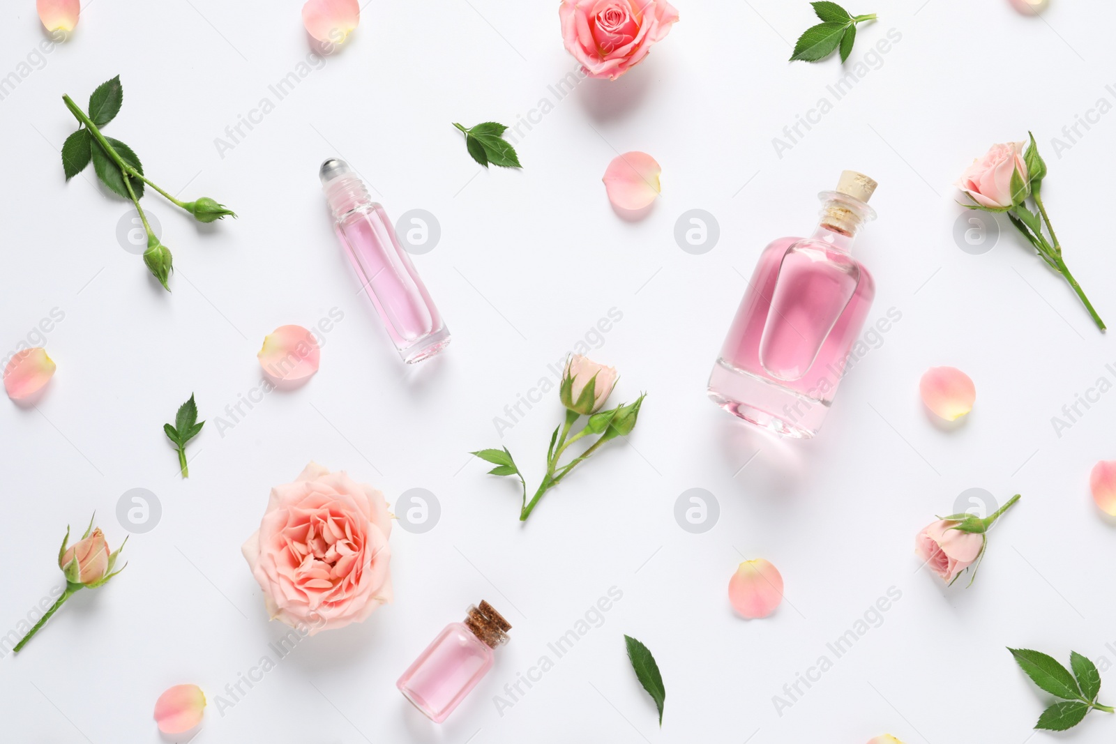 Photo of Composition with rose essential oil and flowers on white background, top view