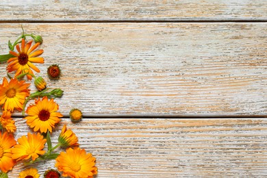 Photo of Beautiful fresh calendula flowers on wooden table, flat lay. Space for text
