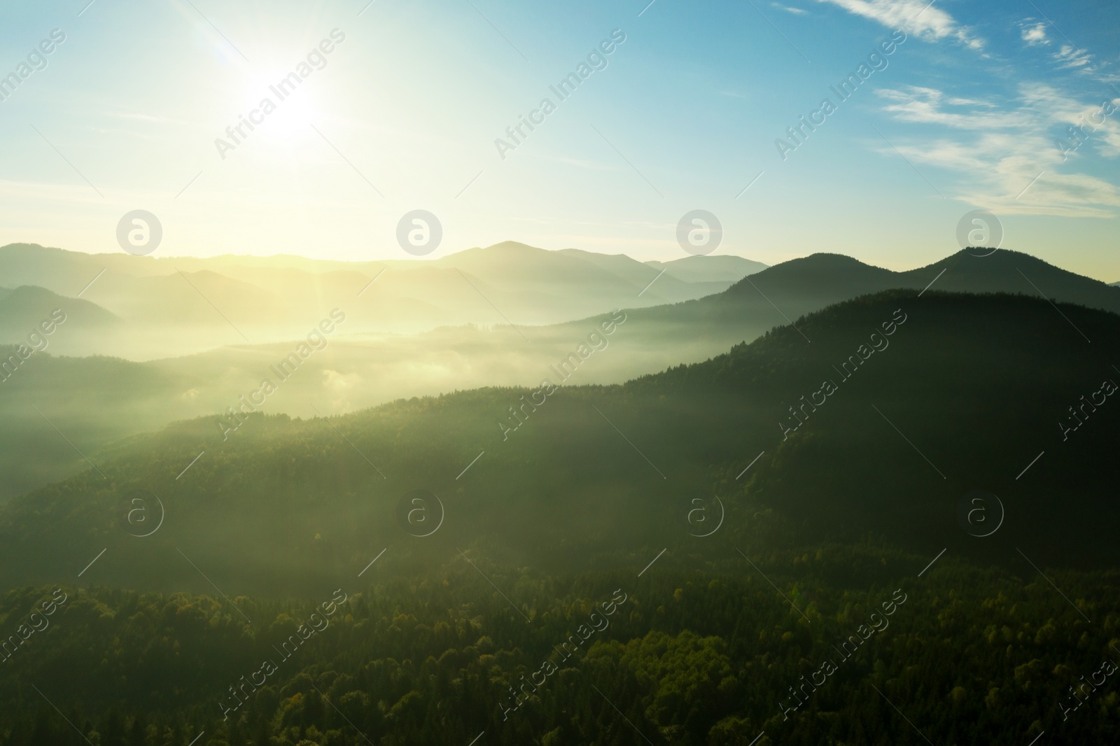 Image of Sun shining over forest in misty mountains. Drone photography