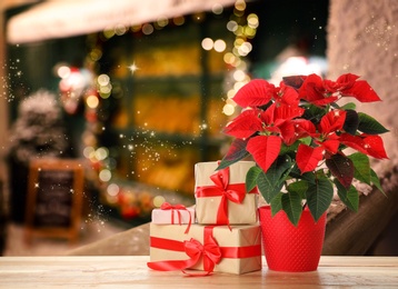 Christmas traditional poinsettia flower and gift boxes on wooden table on blurred background, space for text