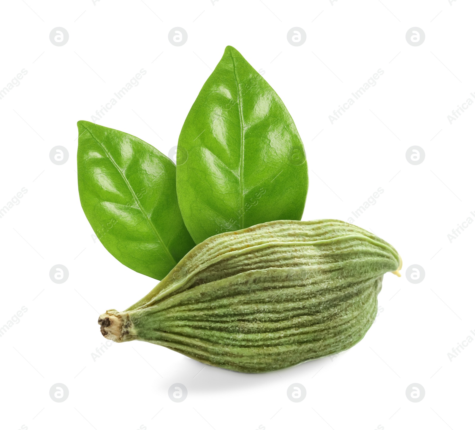 Image of Dry cardamom pod and green leaves on white background