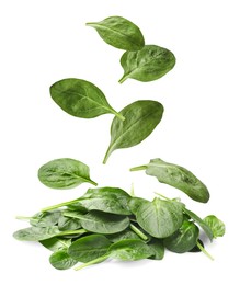 Image of Fresh green spinach leaves falling onto heap on white background