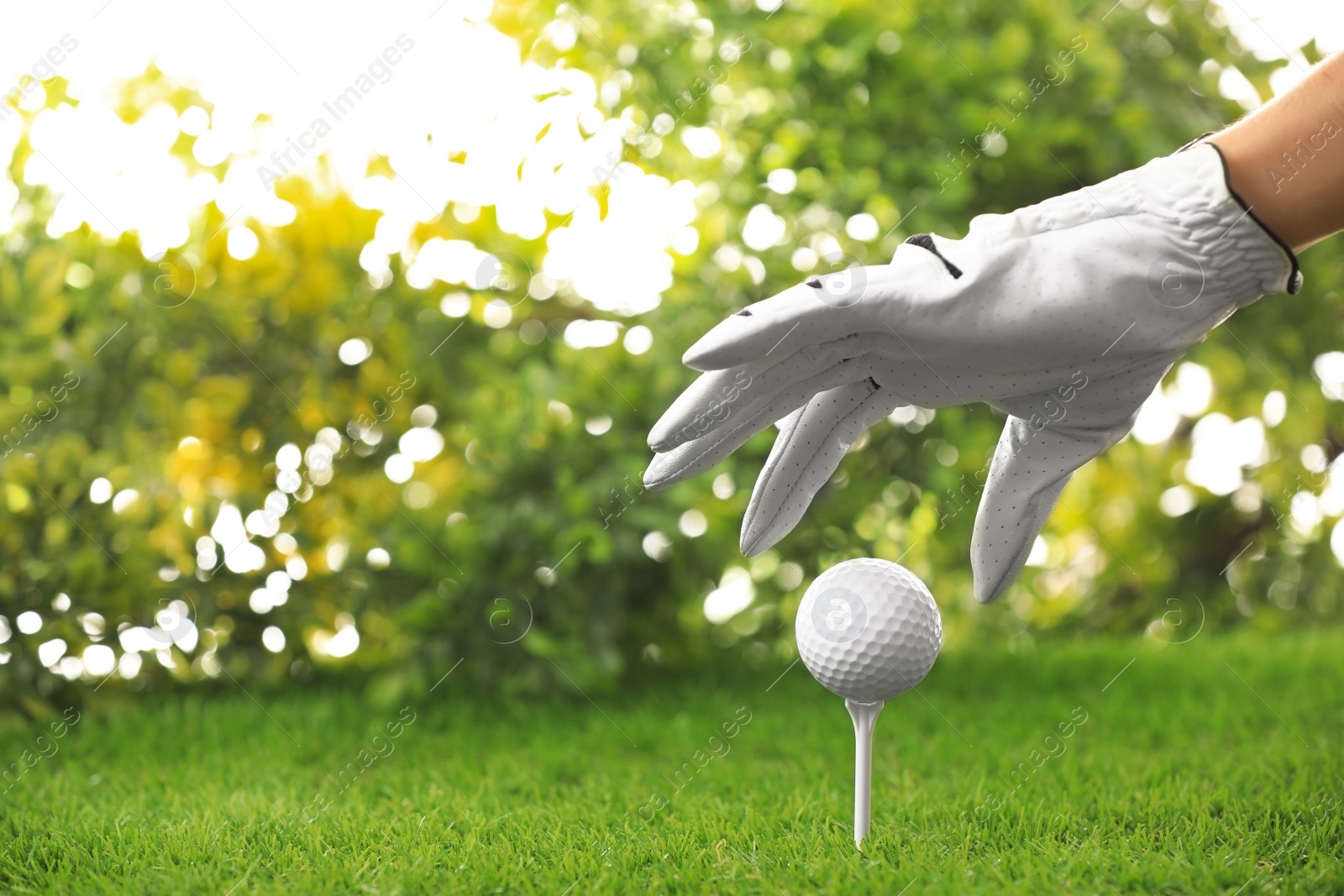 Photo of Player putting golf ball on tee at green course, closeup